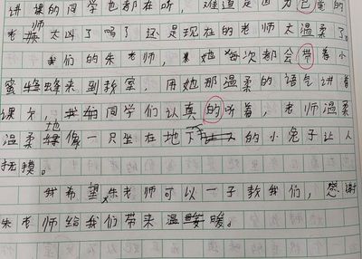 大扫除日记100字