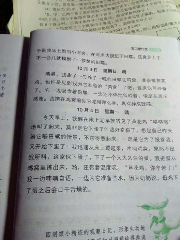 吃西瓜的日记200字