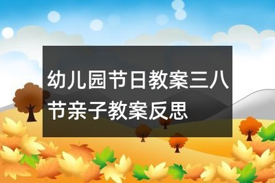 我们的节日教案反思