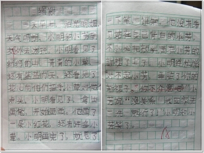 小学二年级日记30字