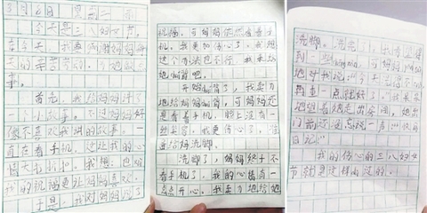小学二年级日记30字