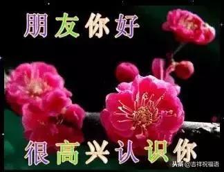刚认识的朋友祝福语