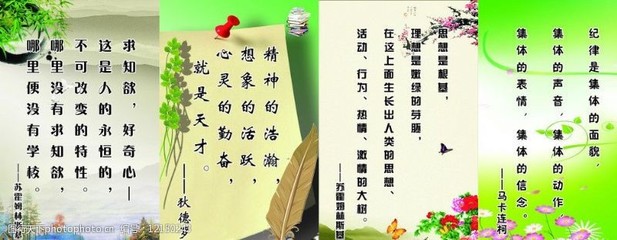 关于好奇心的名人名言