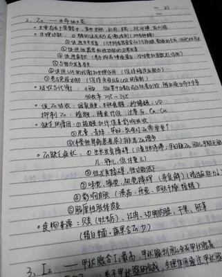 读书如何做笔记