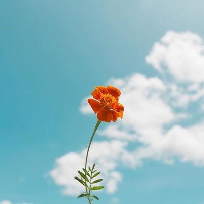 过去现在将来人生感悟