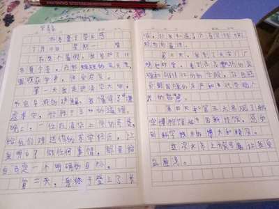 研学心得怎么写
