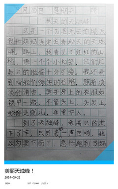 周末日记大全100字