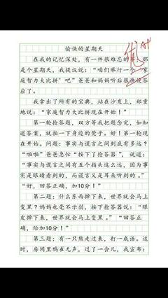 周末日记大全100字