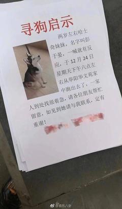失物招领启事范文格式