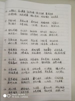 mie开头的成语
