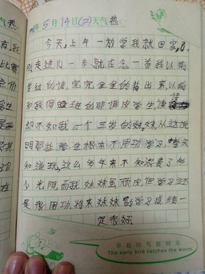有趣的事日记50字