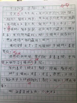 有趣的事日记50字