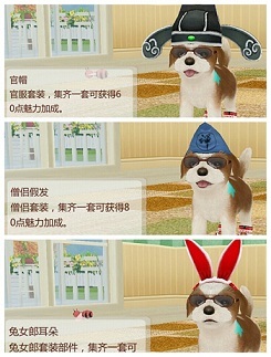 小狗日记