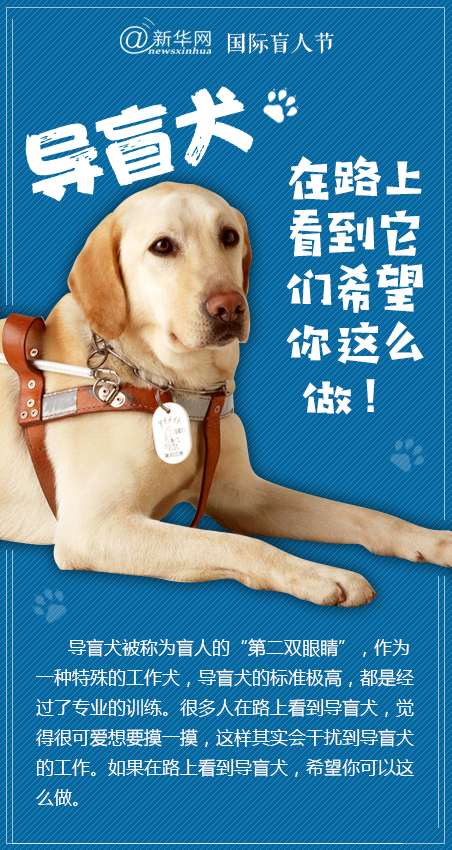 小狗日记