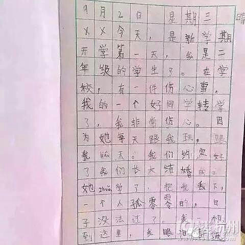 怎样写日记小学二年级