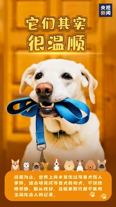 小狗日记