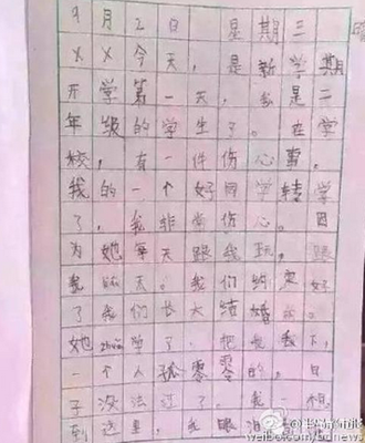 怎样写日记小学二年级