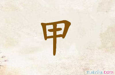 费字开头的成语