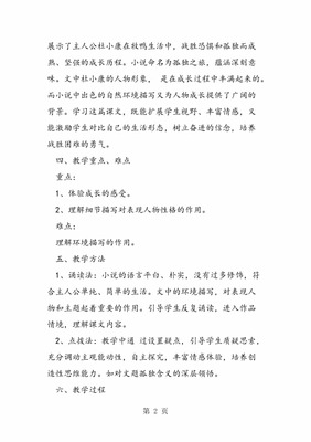 孤独之旅教学反思
