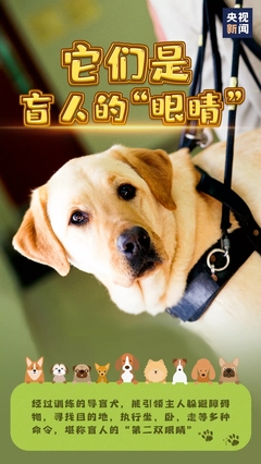 小狗日记