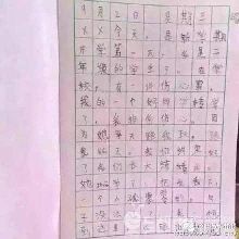 怎样写日记小学二年级
