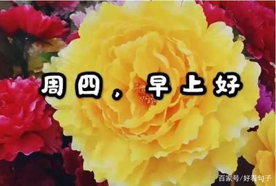 忙碌的心情说说