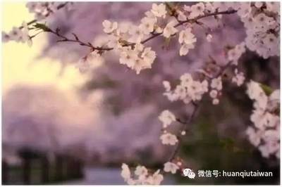 三毛关于人生经典语录