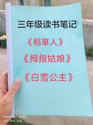 拇指姑娘读书笔记