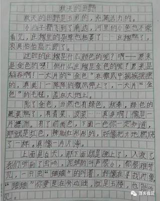 我发现了美400字作文