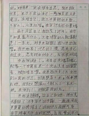 我发现了美400字作文