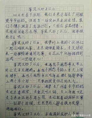 我发现了美400字作文