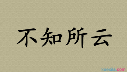 不知所云造句