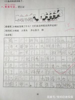 有趣的小狗二年级