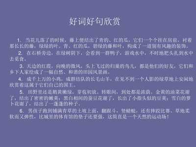 好词好句四年级