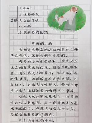 有趣的小狗二年级
