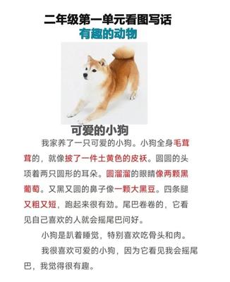 有趣的小狗二年级