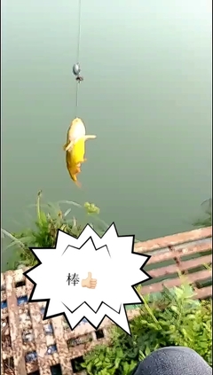 钓鱼朋友圈配文发心情