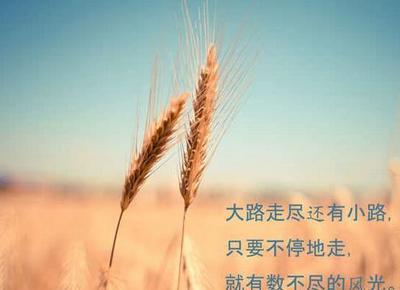 励志短语