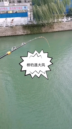 钓鱼朋友圈配文发心情