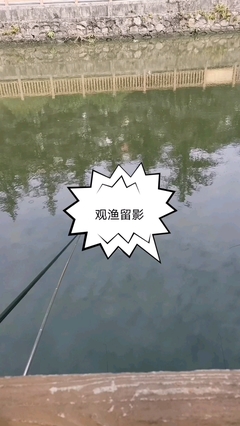 钓鱼朋友圈配文发心情