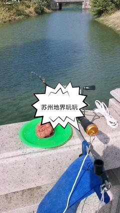 钓鱼朋友圈配文发心情