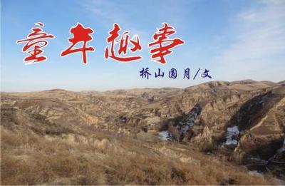 美丽的家乡日记