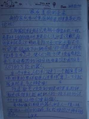 美丽的家乡日记