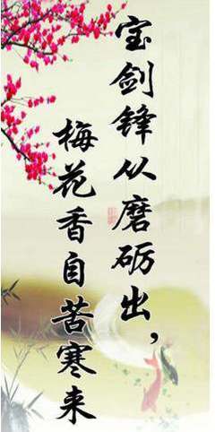 磨练的名言