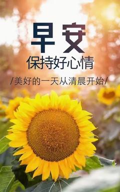 美好心情