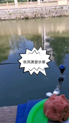 钓鱼朋友圈配文发心情