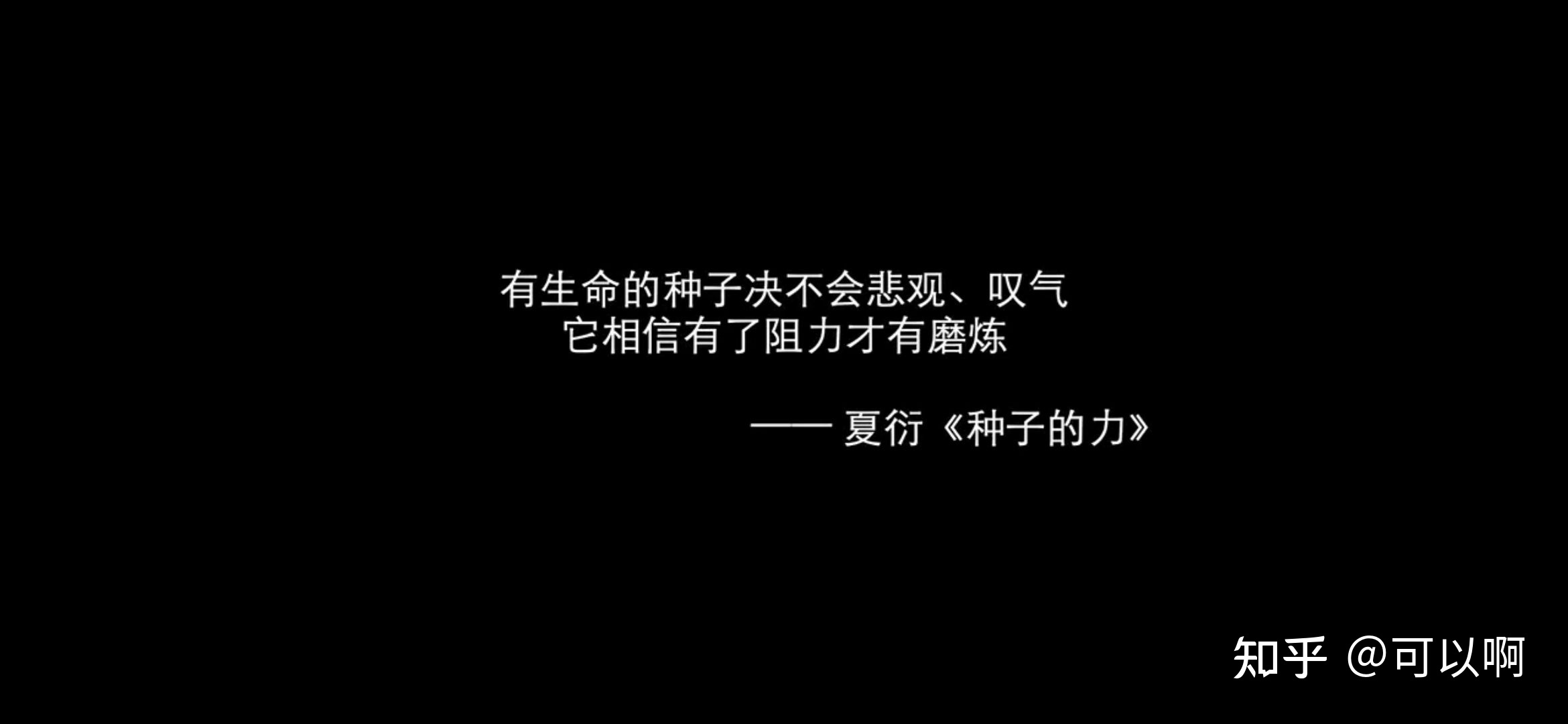 磨练的名言