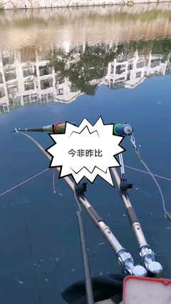 钓鱼朋友圈配文发心情
