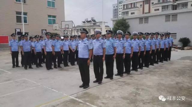 警务教官培训心得体会