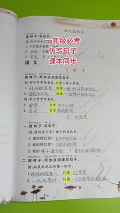 用的像造句